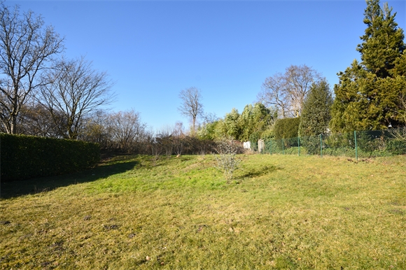 Gartenansicht Einfamilienhaus Halle